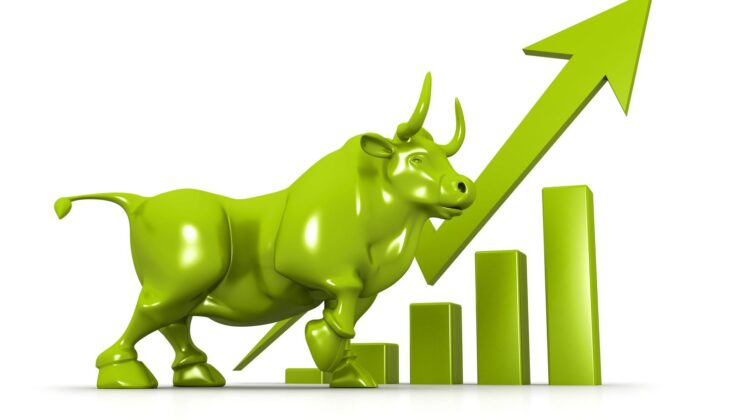 Riding the Bull: Understanding and Navigating the Bull Market